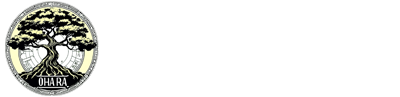 system logo